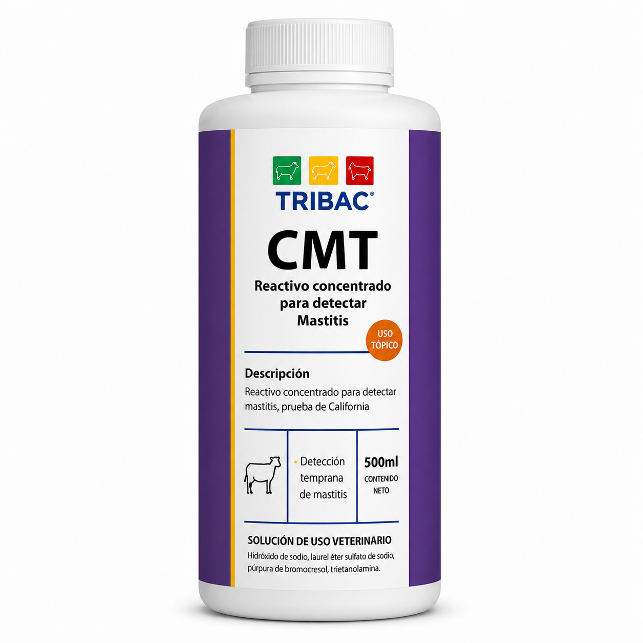 CMT