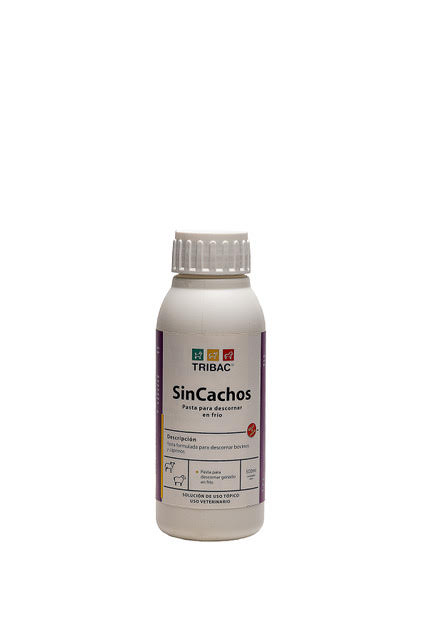 Sincachos